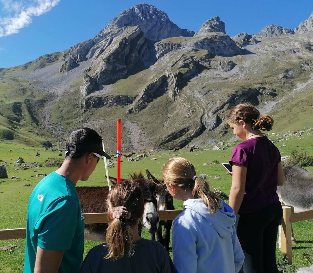 Así preparan los niños del club SCEM de Pajares la temporada de esquí