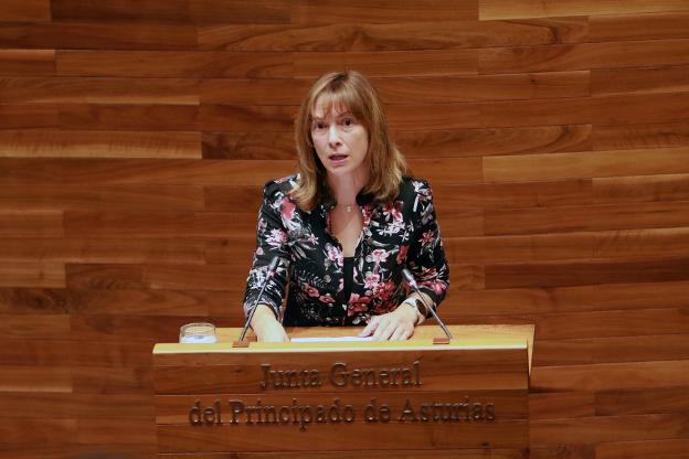 El Principado descarta destinar fondos europeos a Perlora