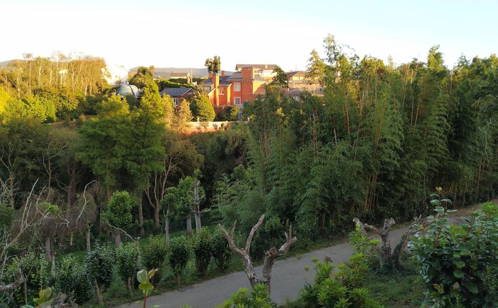 La didáctica de un valle luarqués: el bosque-jardín de la Fonte Baxa