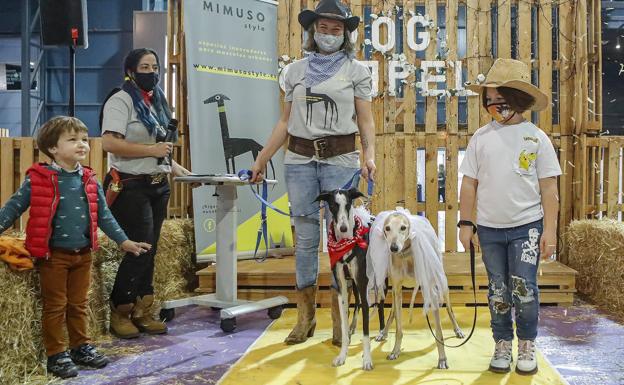 'Ambar' y 'Yoshi' protagonizan la primera boda perruna de Espacio Mascotas