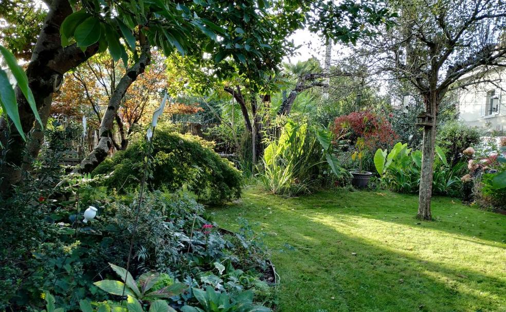 Farmacéutica y maestra botánica: el jardín de Cruz Tolosa en Lieres