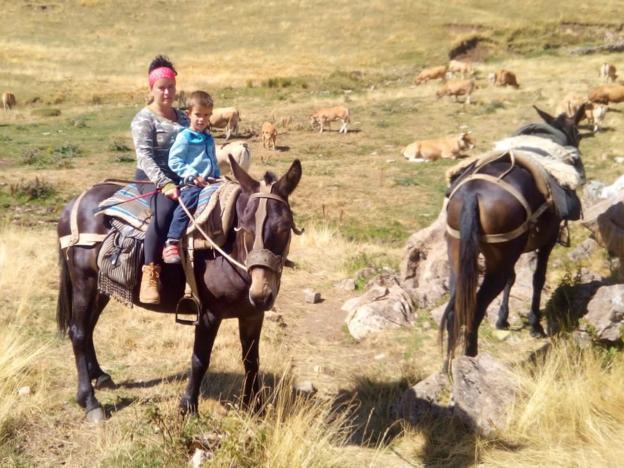 Trashumantes y anfitriones de Reyes