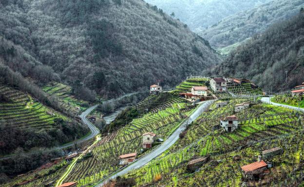 Retiran la custodia de un bebé a su madre porque vive «en la Galicia profunda»