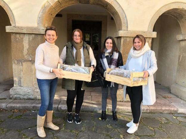 Candamo subvenciona hasta un 50% la compra de plantas de fresa