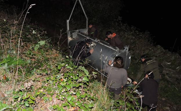 El protocolo para actuar con osos habituados al hombre, «un éxito», según el Principado