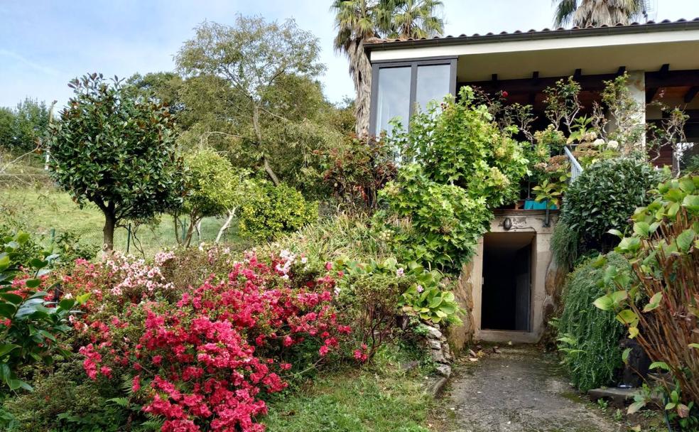 El jardín de camelias de Bene sigue latiendo en Celles