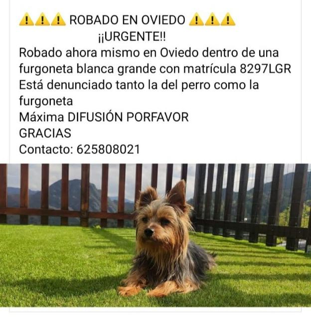 Roban a plena luz del día en el barrio de Pumarín de Oviedo la furgoneta de un repartidor con su perro dentro