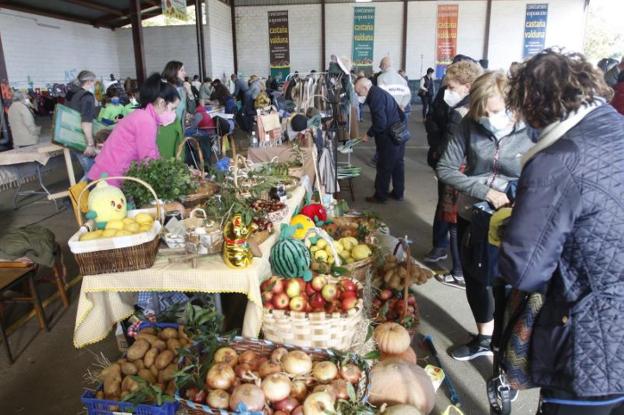 Las Regueras se da un festín «saludable» a castaña valduna