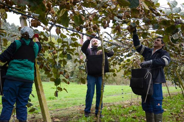 Bajo Nalón cubrirá la demanda de técnicos agrícolas con certificados profesionales