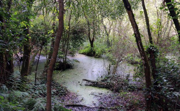 La promotora del proyecto de Salave insiste en que no habrá afección del agua