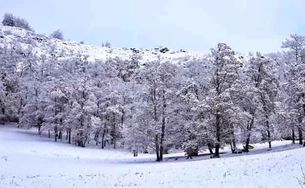 La nevada cierra puertos a camiones y obliga a usar cadenas