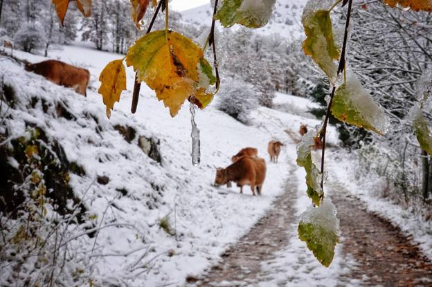 El primer temporal del otoño deja media Asturias blanca y a la espera de más frío