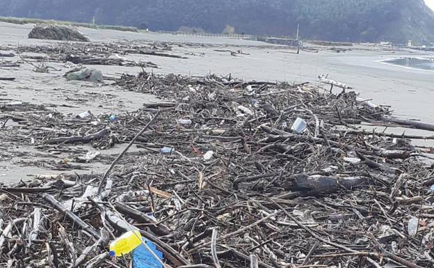 Las riadas atascan de madera el puente entre Soto y Muros y llegan a Los Quebrantos