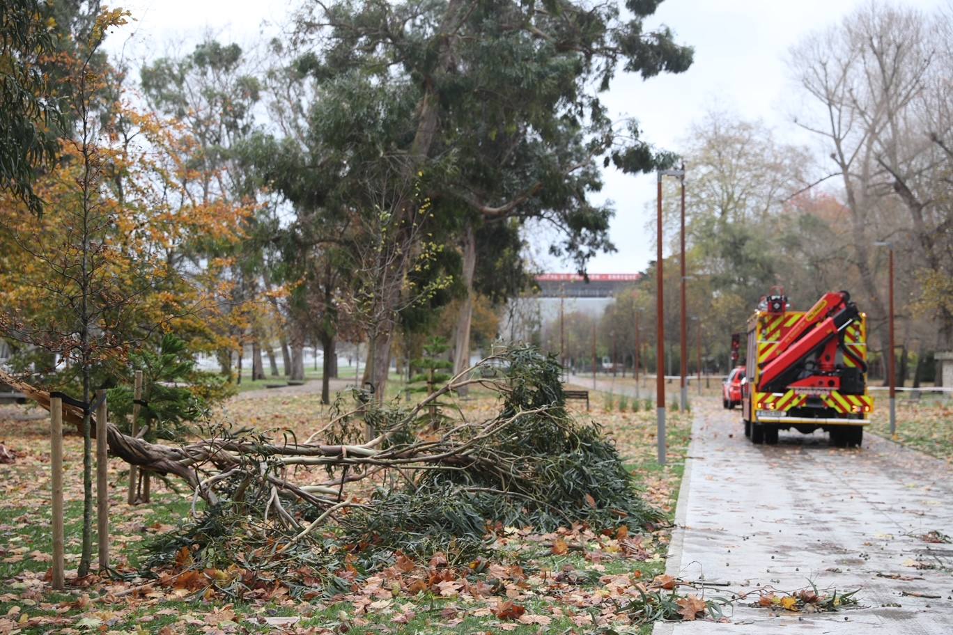 Las consecuencias del temporal en Gijón