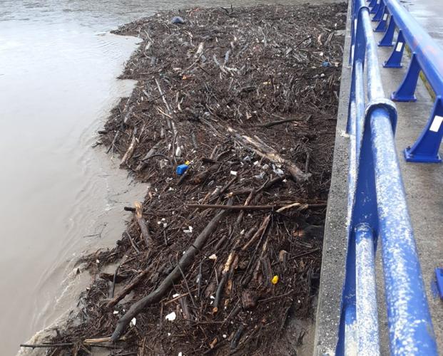 Las riadas atascan con madera el puente entre Soto y Muros