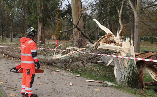 La Policía Local realiza 57 intervenciones por el temporal y los Bomberos cerca de 30 en una jornada sin tregua