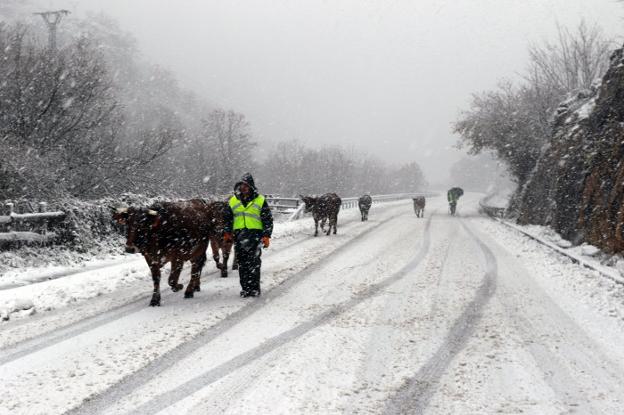 El temporal deja a Asturias sin camiones ni tren con la Meseta y «riesgo alto» de aludes