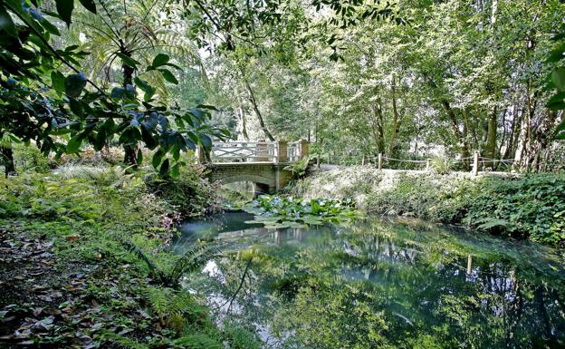 El Botánico gijonés refuerza la investigación y recibe «un aluvión» de solicitudes de estudiantes para hacer prácticas