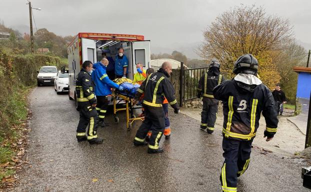 Los bomberos rescatan a un hombre con una pierna rota tras caerle un árbol encima en Siero