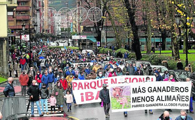 Asturias vuelve a frenar la tramitación del plan nacional de protección del lobo