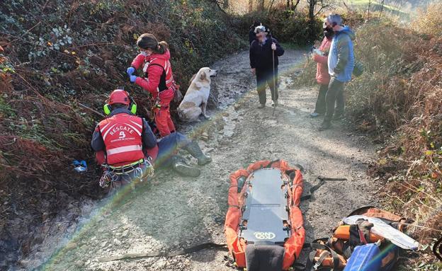 Herido un hombre tras caerle encima una yegua en Riosa