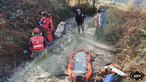 Un hombre se fractura el fémur al caerle encima una yegua en el concejo de Riosa