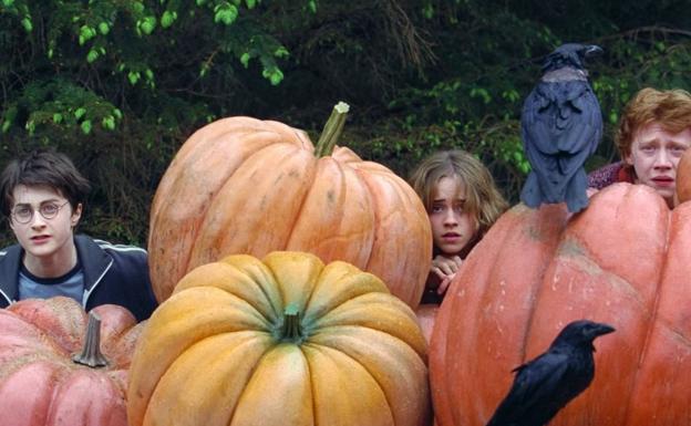 'Harry Potter: Regreso a Hogwarts' ya tiene tráiler