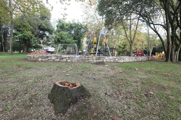 Avilés repondrá los árboles dañados con 33 nuevos ejemplares