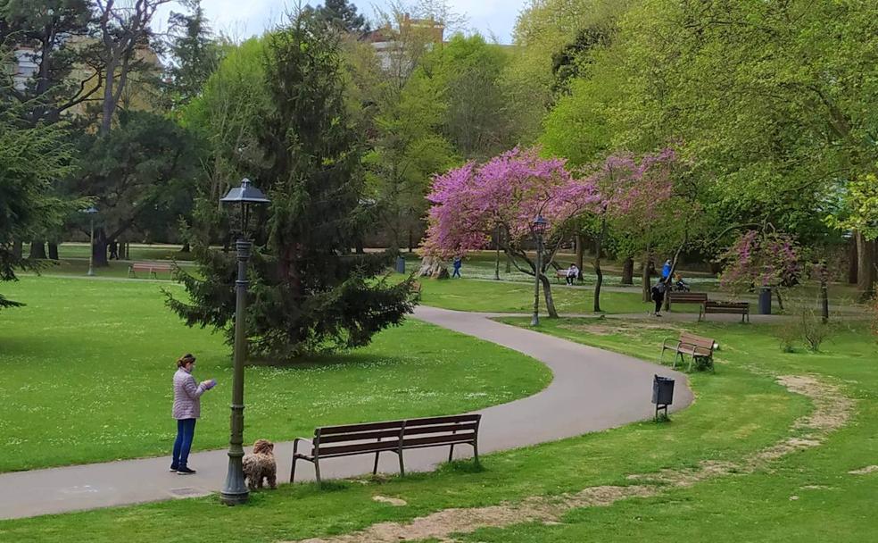 El primer pulmón verde de Asturias: el parque de Ferrera