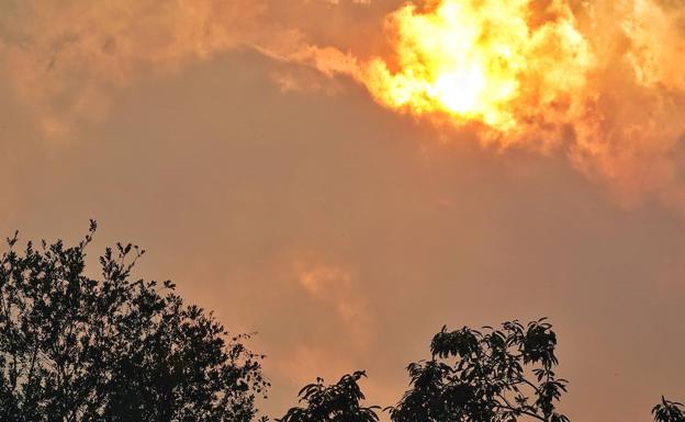 La mitad de los concejos asturianos están en riesgo extremo de incendios