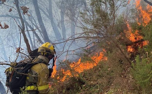 Los agentes forestales achacan la ola de incendios a la falta de vigilantes