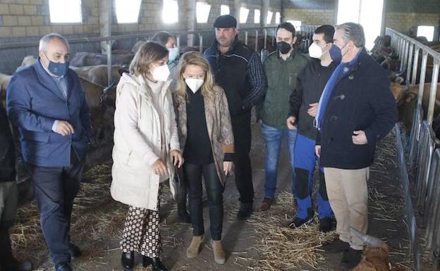 El PP presentará una iniciativa en la Junta para reprobar a Garzón tras sus palabras sobre la carne