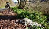 Plásticos acumulados en los márgenes de la carretera de Libardón, en Colunga./XUAN CUETO