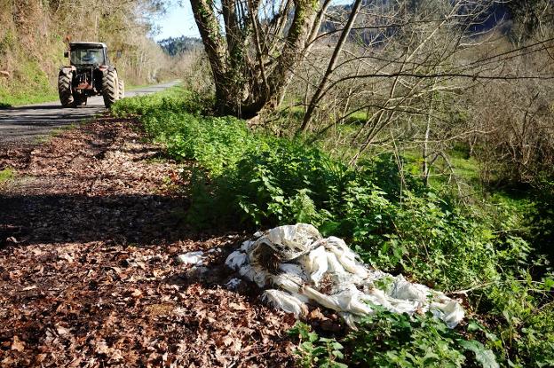 Colunga implanta la recogida de plásticos ganaderos para «evitar que acaben en los ríos»