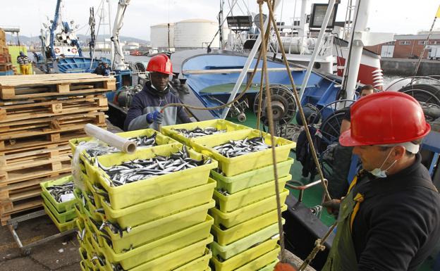 Los pescadores, en contra de instalar un parque eólico marino cerca de Tapia