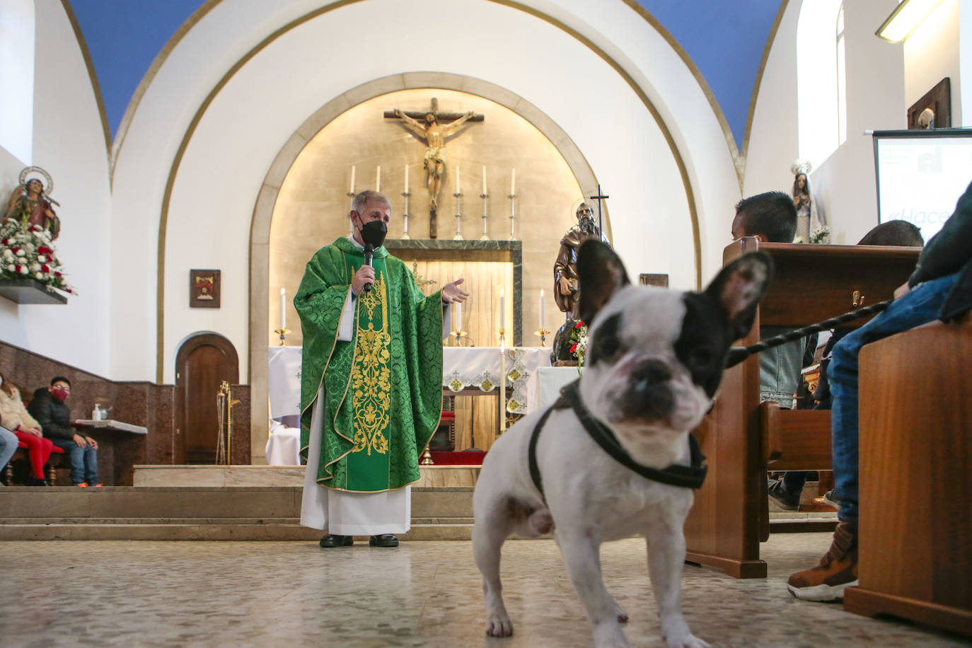 Lugones se suma a la bendición de animales por San Antón