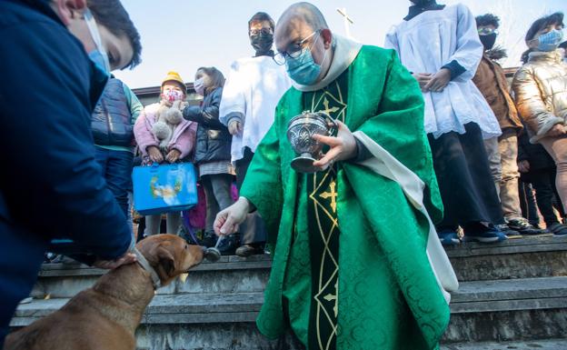 Benditas mascotas en Avilés