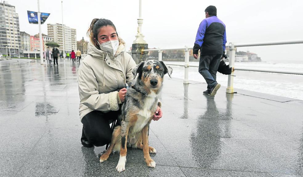 «Los animales vivían en un vacío que traía muchos problemas»