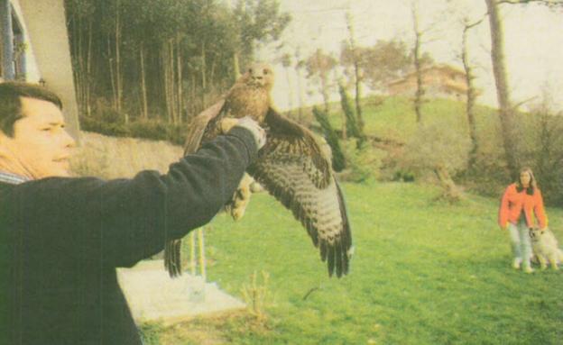 Cetrero por accidente