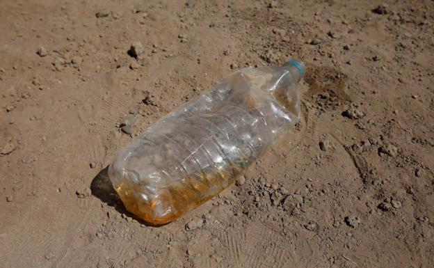 Las sustancias químicas del plástico pueden contribuir al aumento de peso