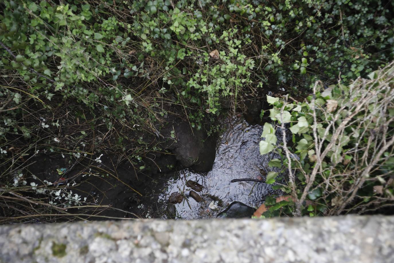 Aparecen en Turón los cuerpos de un hombre y una mujer