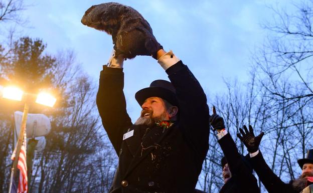 La 'resurrección' de la marmota Phil, dada por muerta por medio mundo