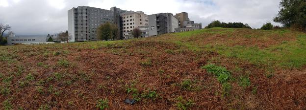 Salud dice estar «trabajando duro» para iniciar las obras de Cabueñes en verano