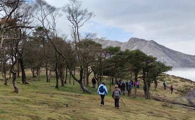 Rutas senderistas, naturaleza y conciencia medioambiental, la propuesta de Biodevas para conocer los montes asturianos