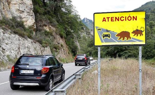 La Guardia Civil recurre a los cerditos para avisar de multas y peligros en la carretera