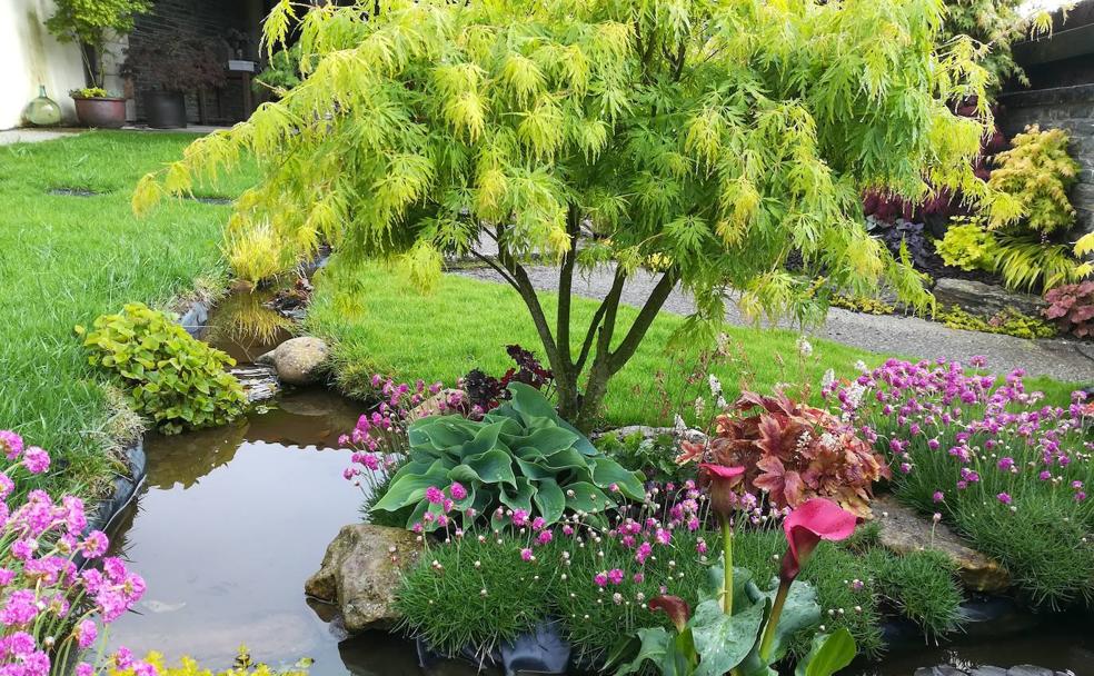 Un jardín de colores, sin flores, es posible en Candás