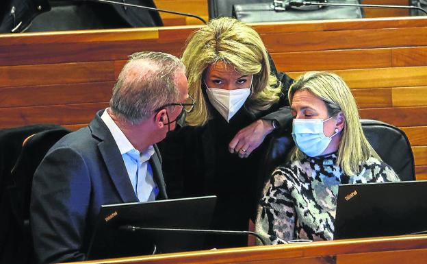 Mallada advierte a Barbón de que Feijóo no apoyará la oficialidad del asturiano