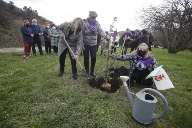 El movimiento feminista de Langreo planta la semilla del futuro 'Bosque de las mujeres'