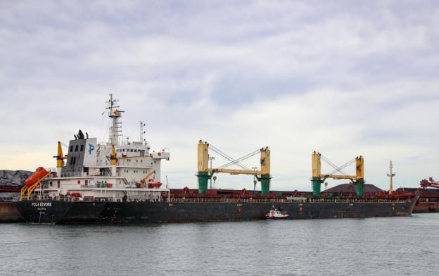 La maniobra del 'Pola Devora' para descargar carbón ruso en Gijón