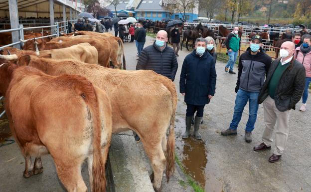 Medio Rural pide a la UE ayudas directas frente a la producción a pérdidas de «todo el sector agroalimentario»